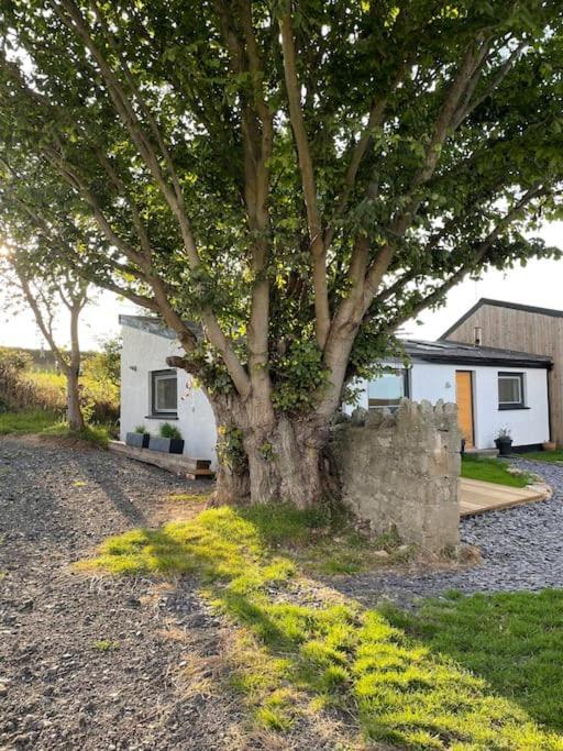 Tranquil, Secluded, Rural Cottage For Two Beaumaris Exteriér fotografie